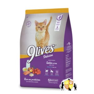 9 LIVES GATITO