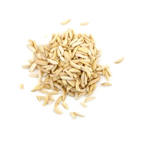 AVENA FORRAJERA