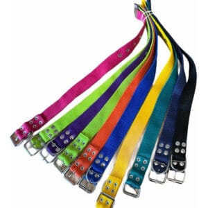 COLLARES PARA PERROS