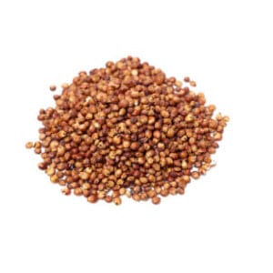 SORGO