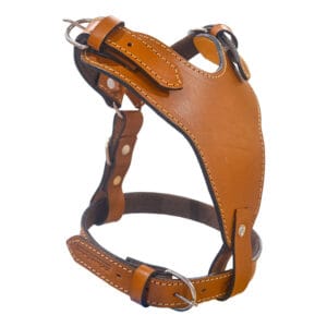 PECHERA DE CUERO (CHICA Y GRANDE)