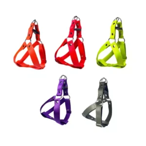 PRETALES PARA PERROS