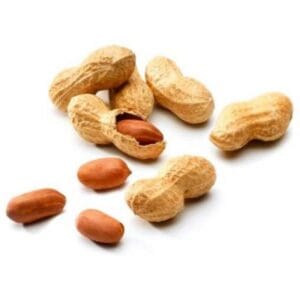 MANI TOSTADO CON CASCARA (5KG)